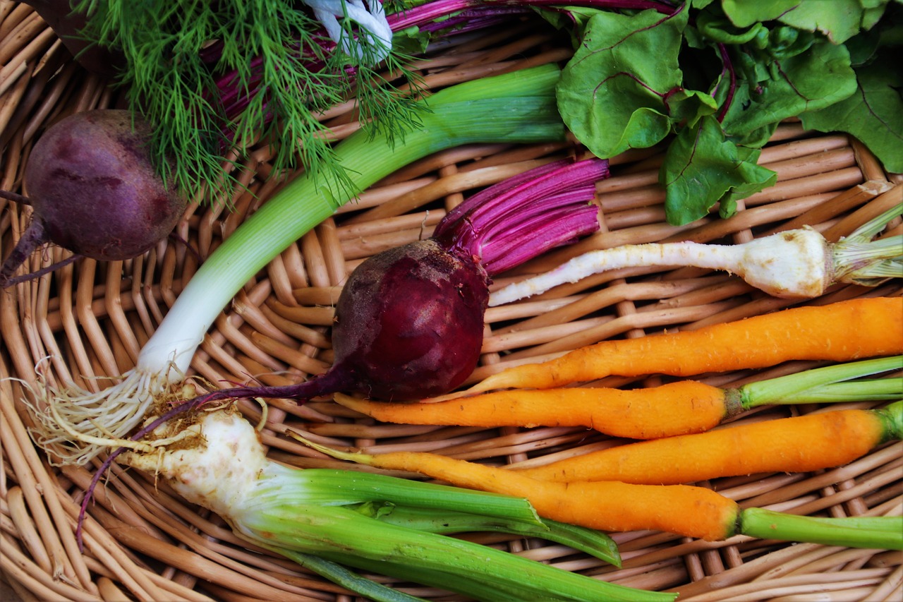 vegetables  bio  healthy free photo