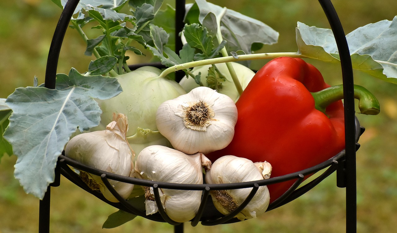 vegetables  paprika  garlic free photo