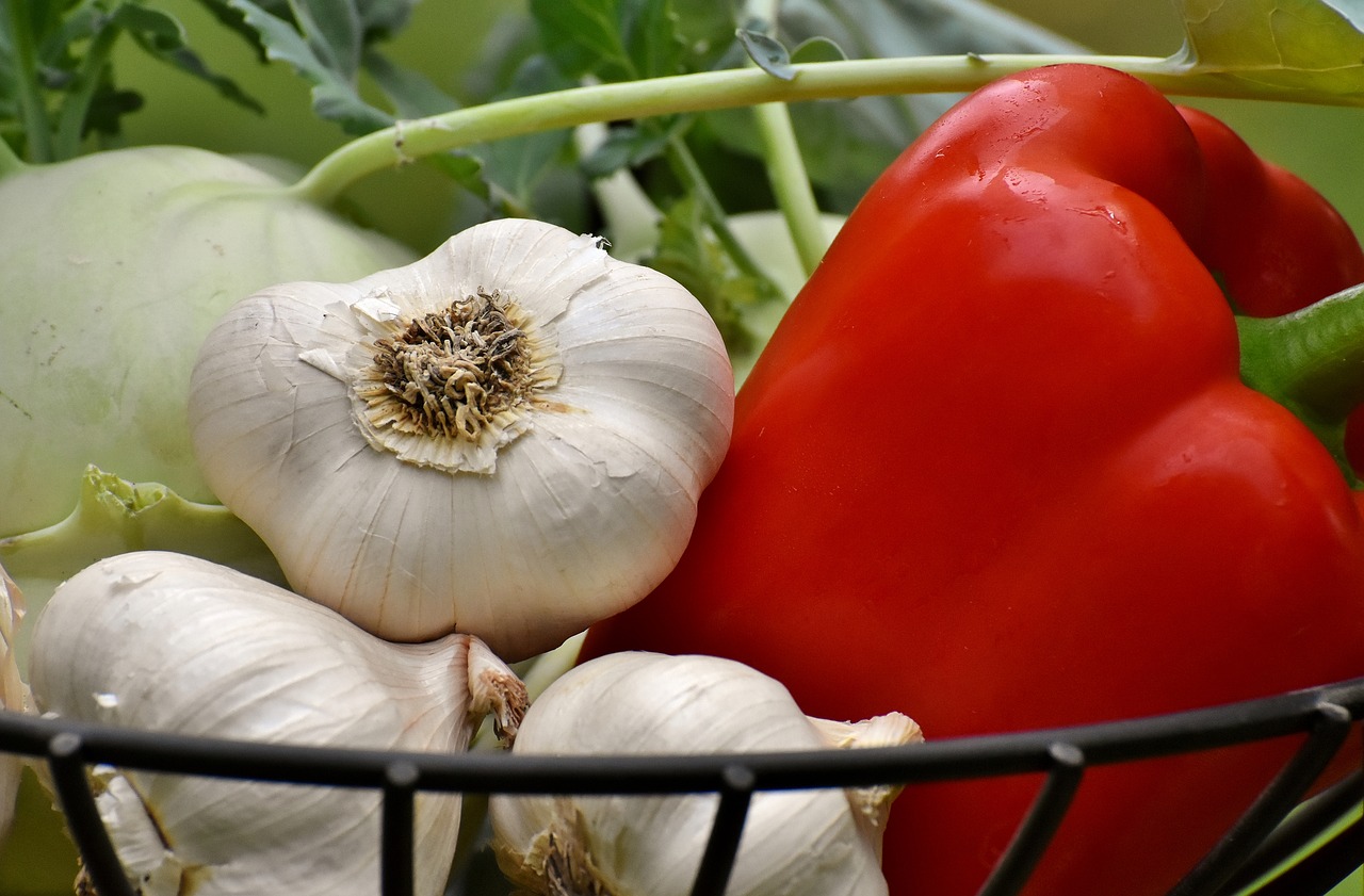 vegetables  paprika  garlic free photo