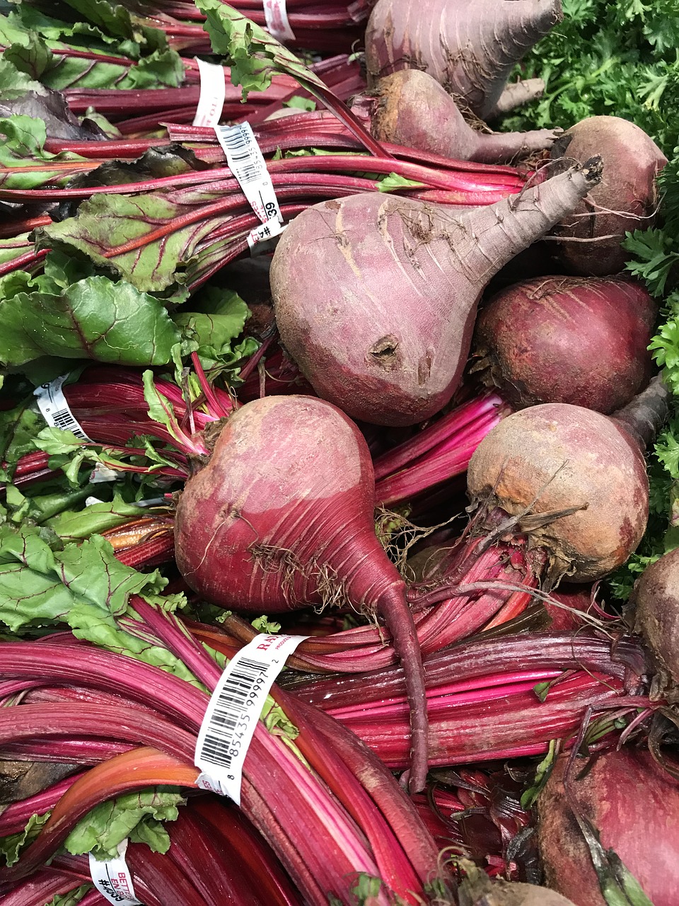 vegetables  fresh  healthy free photo