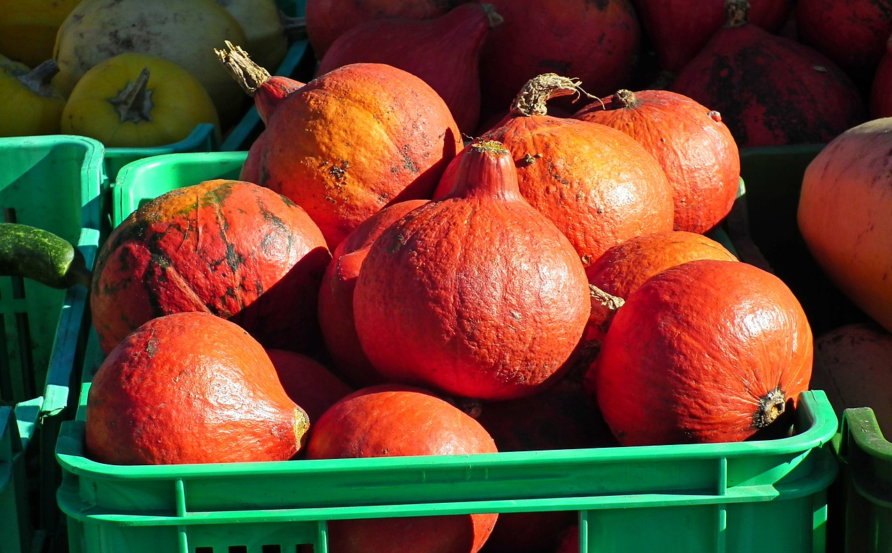 vegetables  pumpkins  autumn free photo