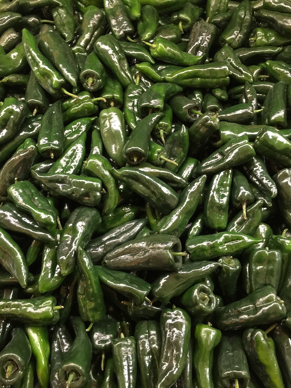 vegetables  peppers  chilis free photo