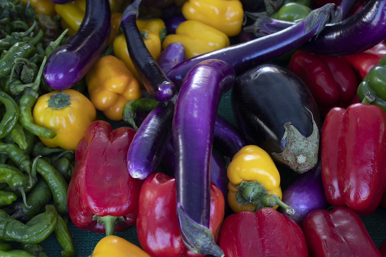 vegetables  eggplant  bell pepper free photo