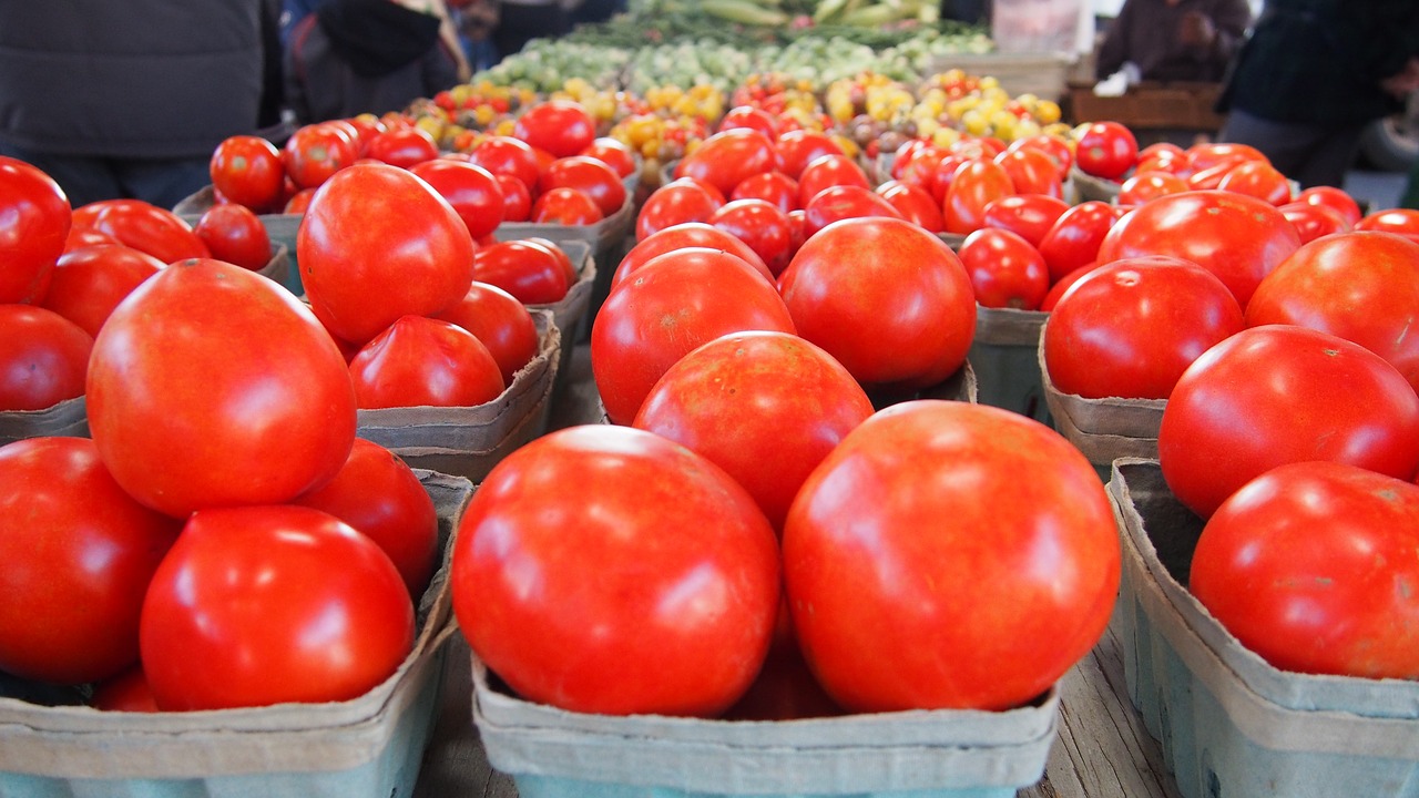 vegetables  tomatoes  vegetable free photo