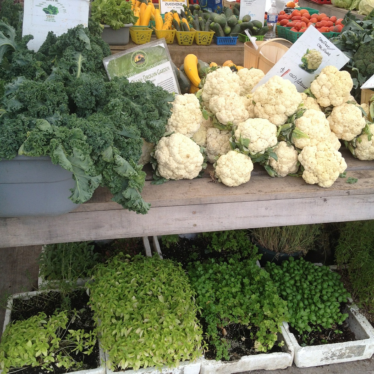 vegetables cauliflower market free photo