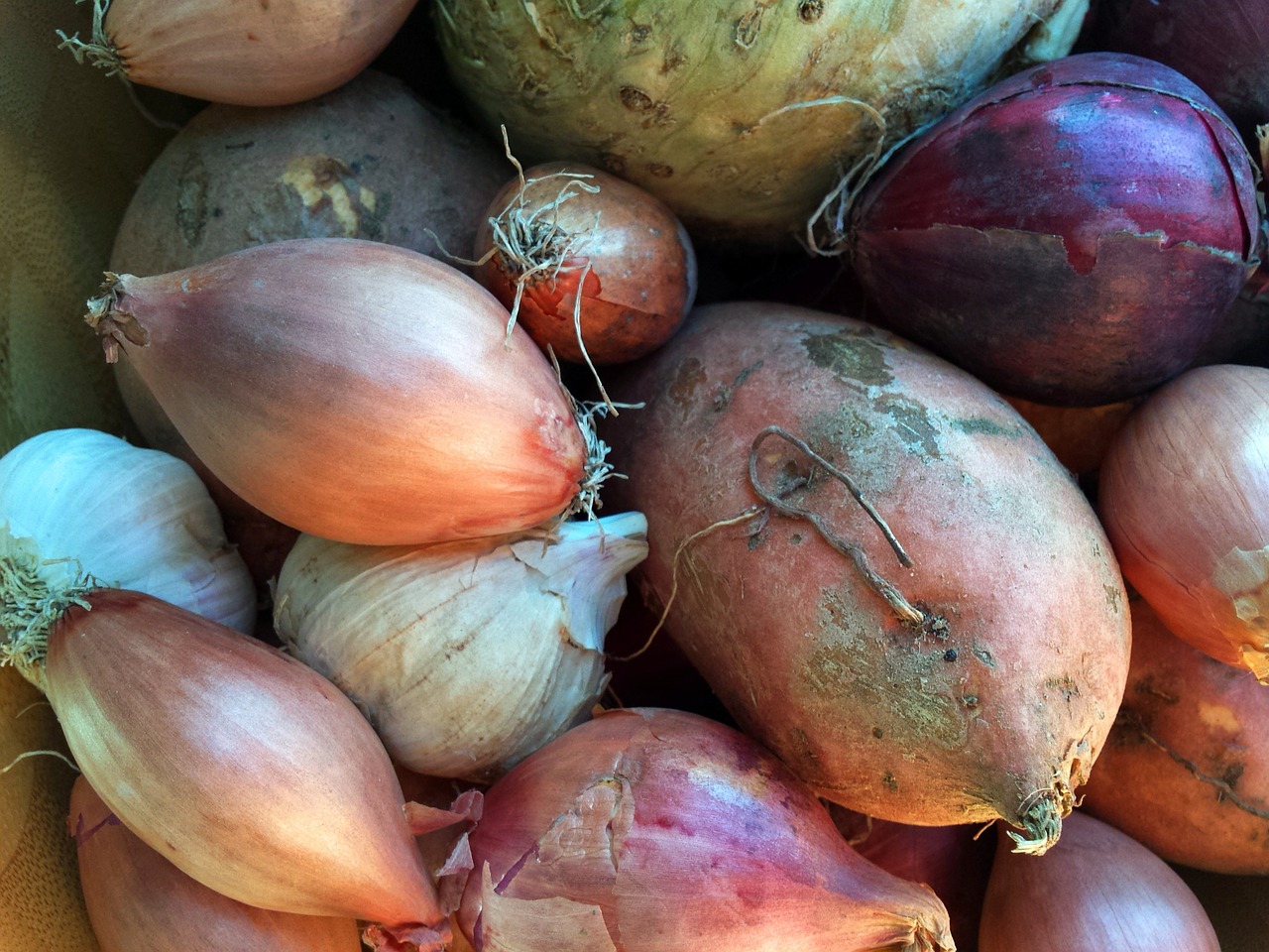 vegetables onion garlic free photo