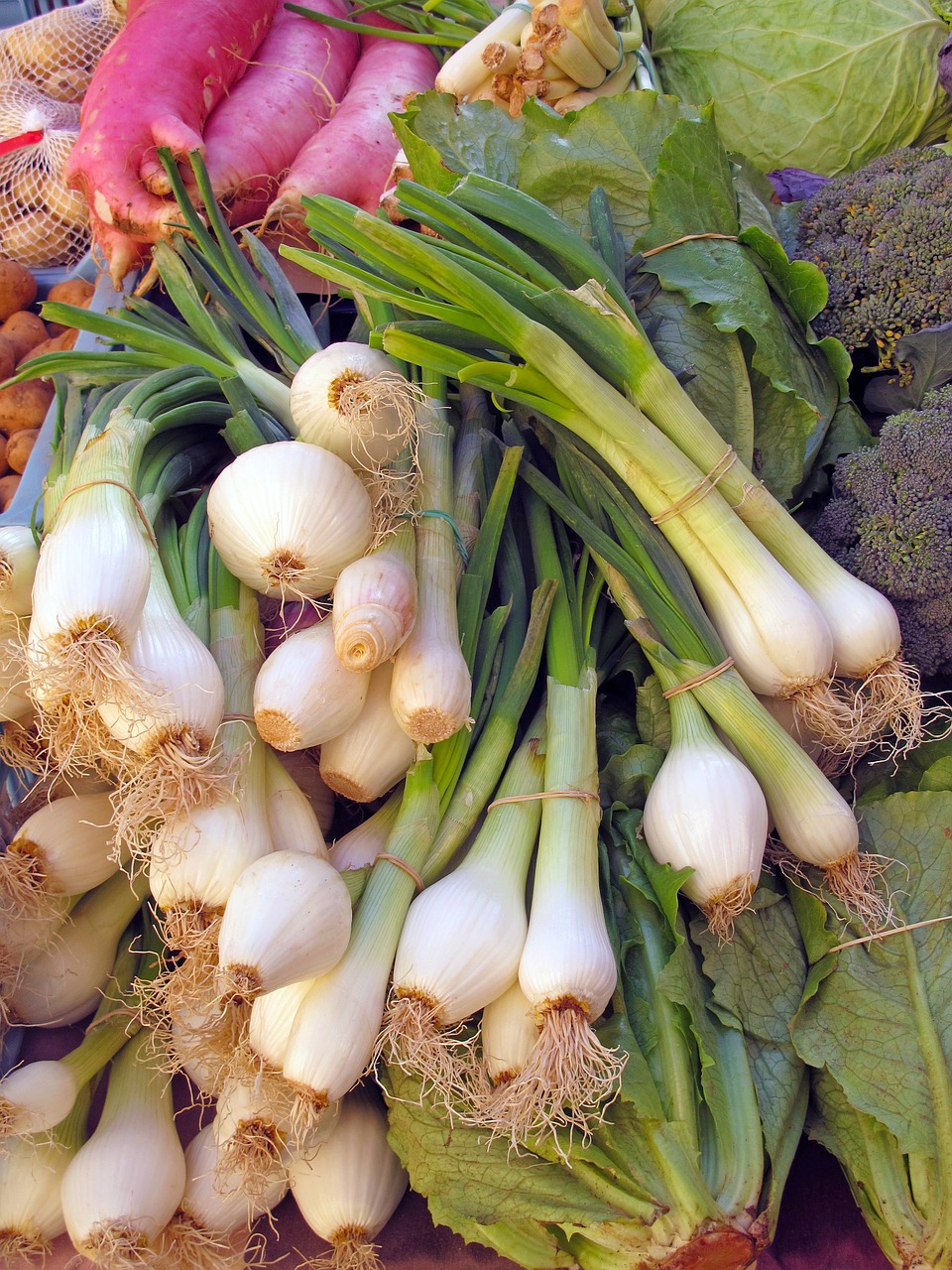 vegetables market onion free photo