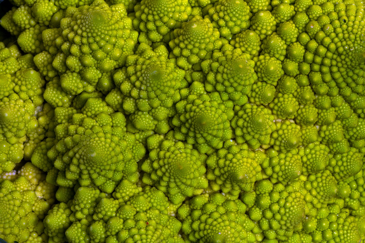 vegetables macro cauliflower free photo