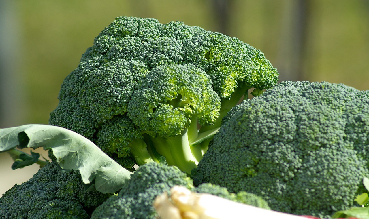 vegetables broccoli cabbage free photo