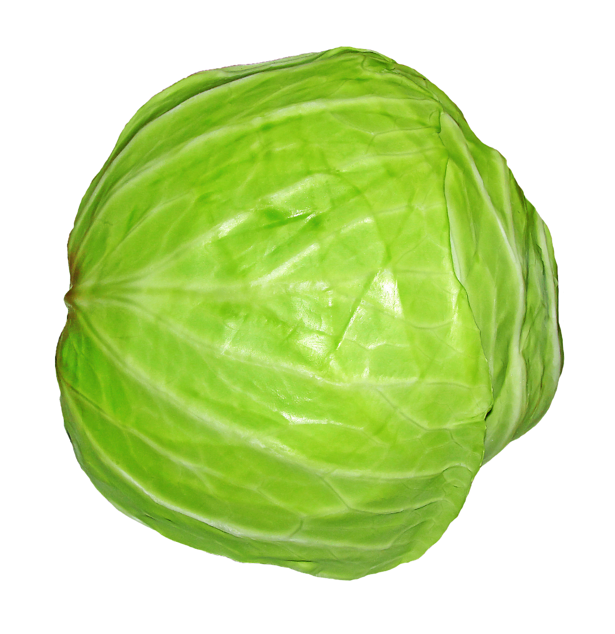 vegetables col cabbage free photo