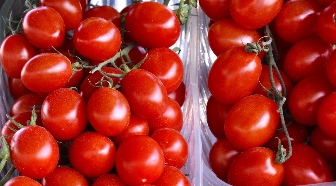 vegetables tomatoes food free photo