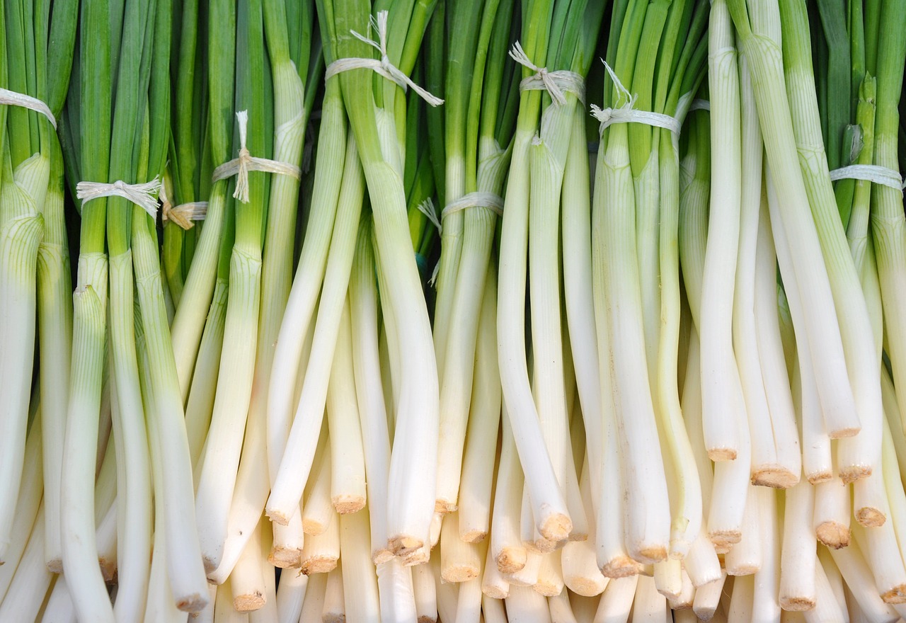 vegetables green onion food free photo