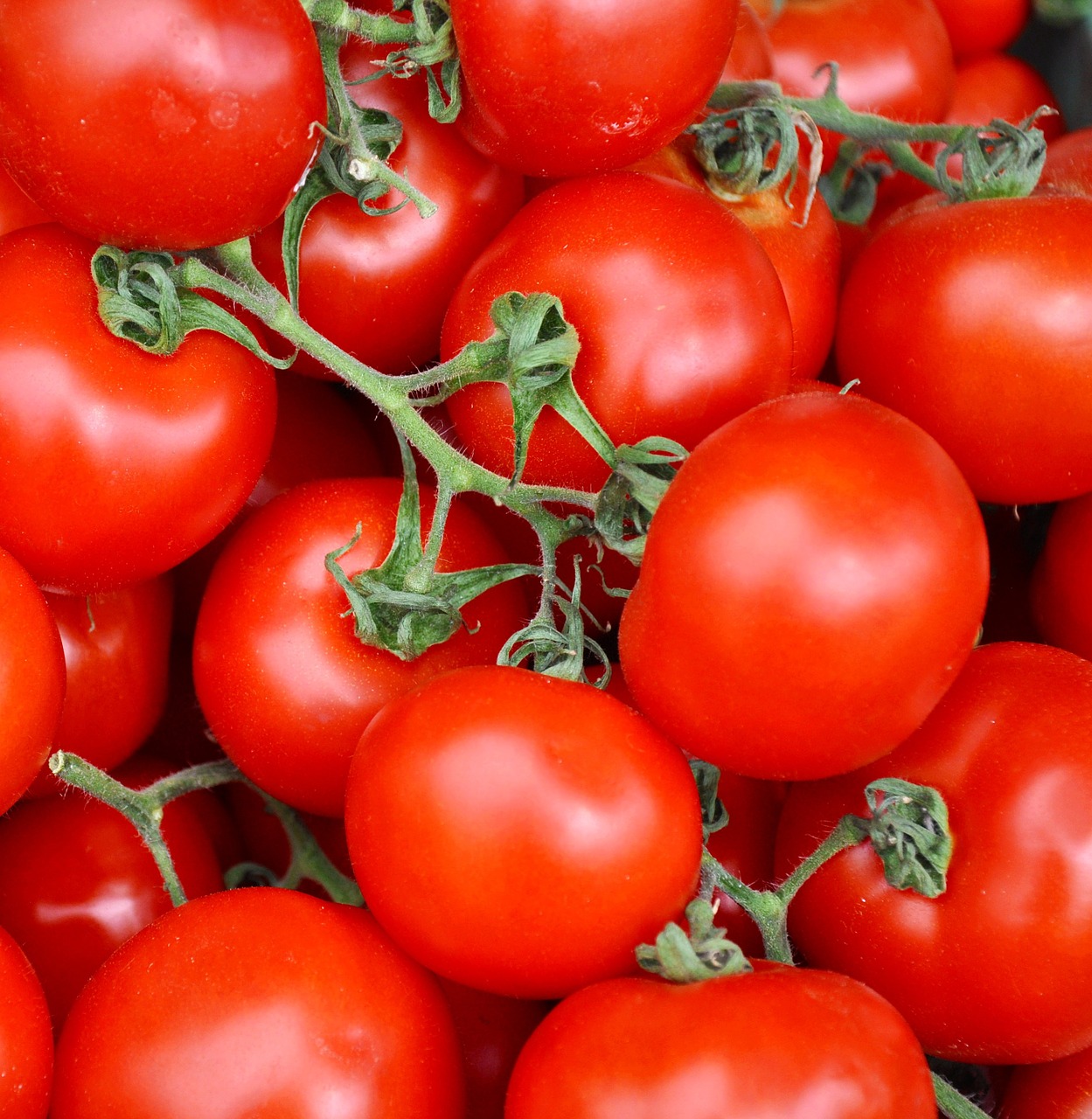 vegetables tomatoes food free photo