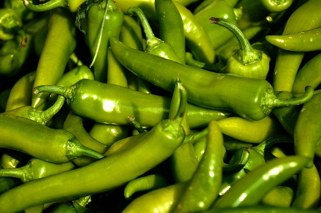 vegetables green pepper food free photo