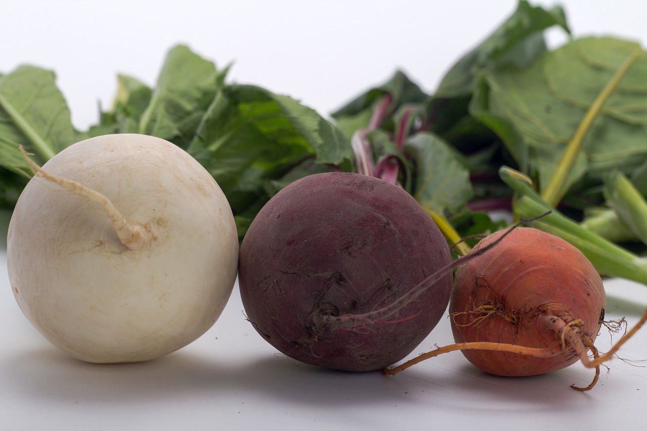 vegetables beetroot turnip free photo