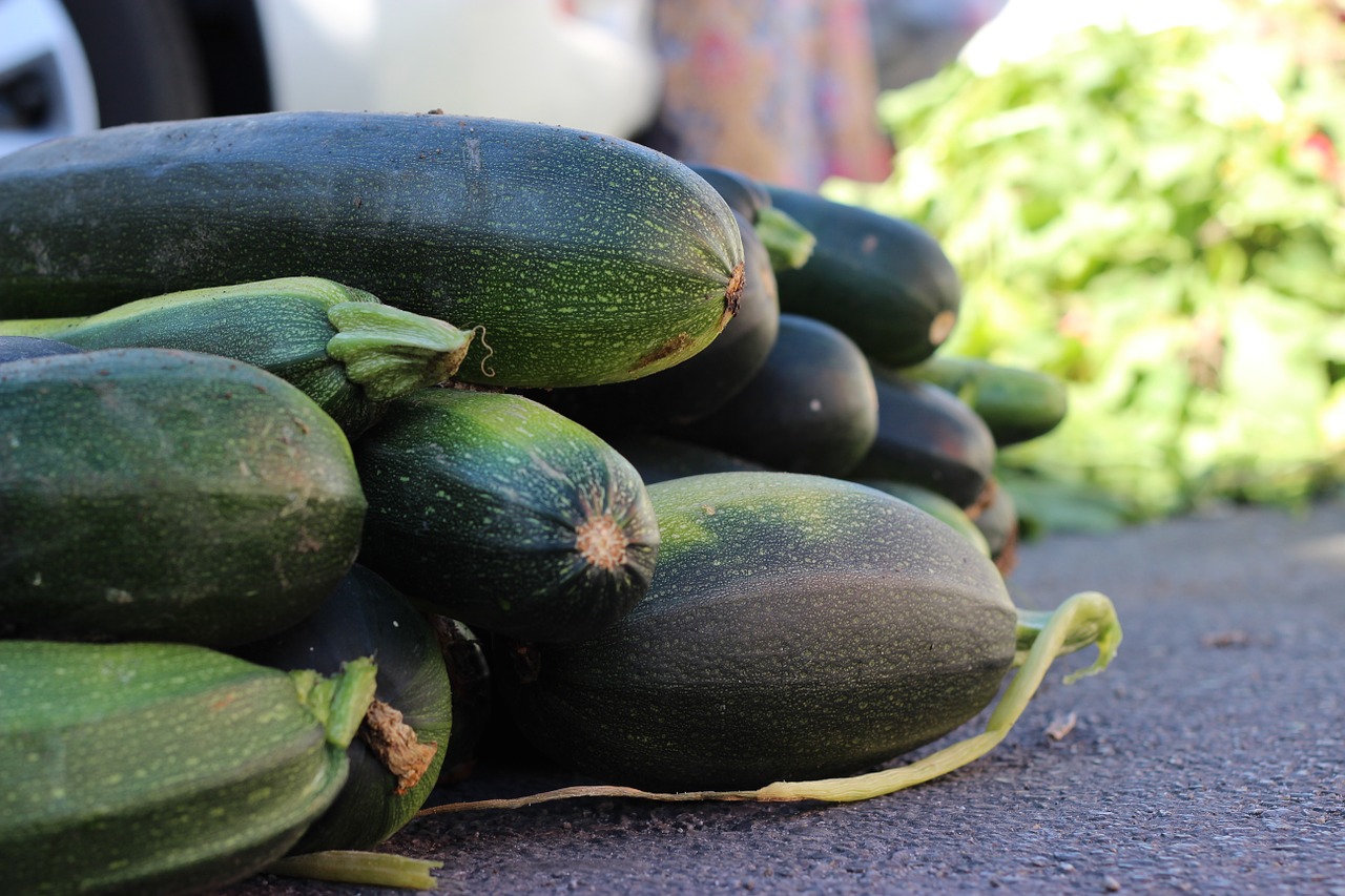 vegetables zucchini food free photo