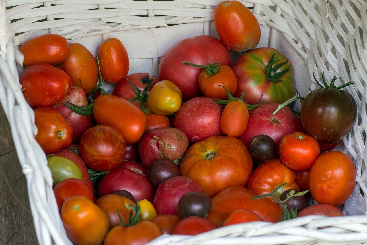 vegetables tomatoes basket free photo