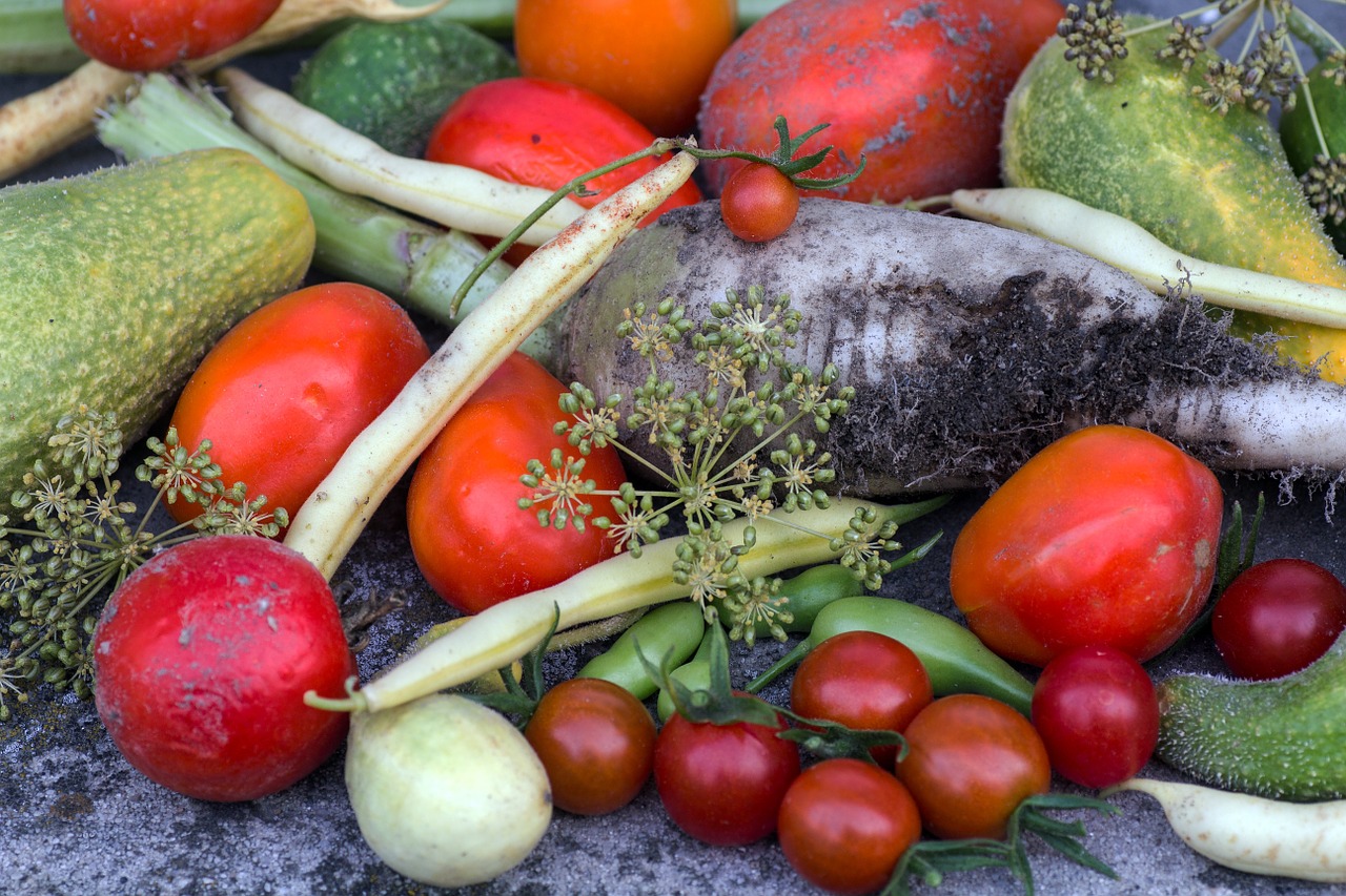 vegetables cucumbers tomatoes free photo