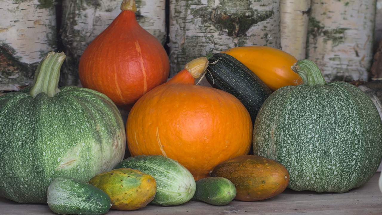 vegetables pumpkins cucumbers free photo