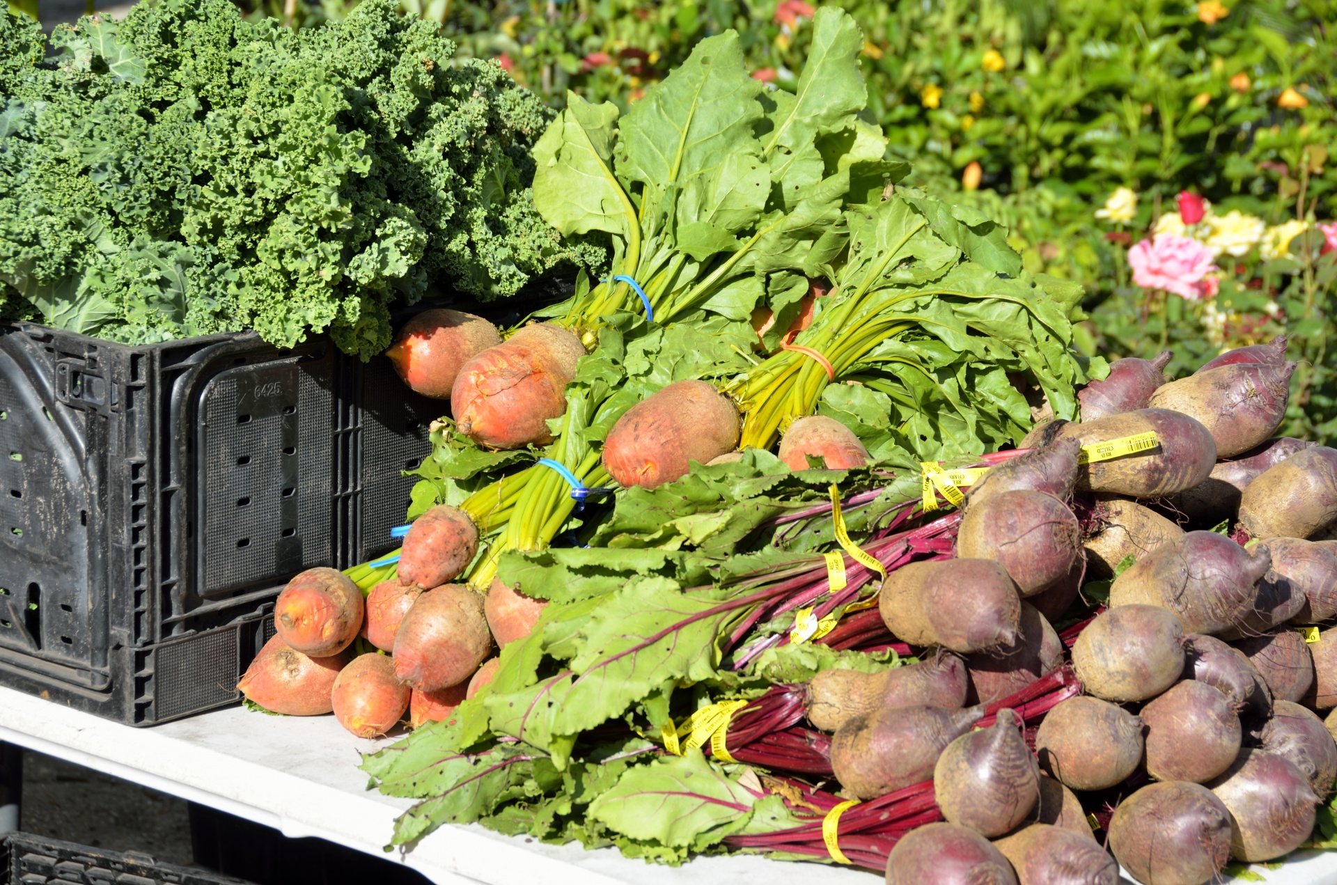 keywords market farm shop free photo