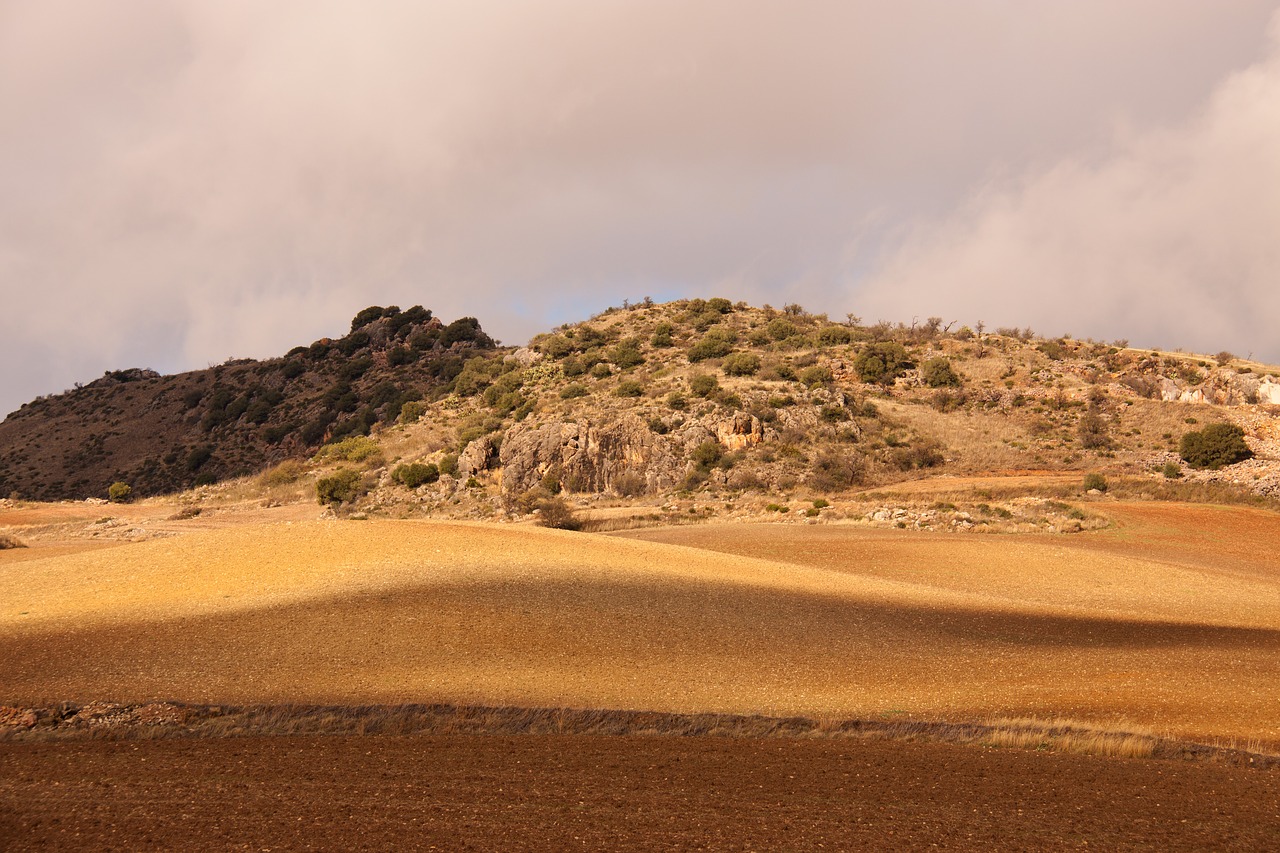 vegetation  road  spanish free photo