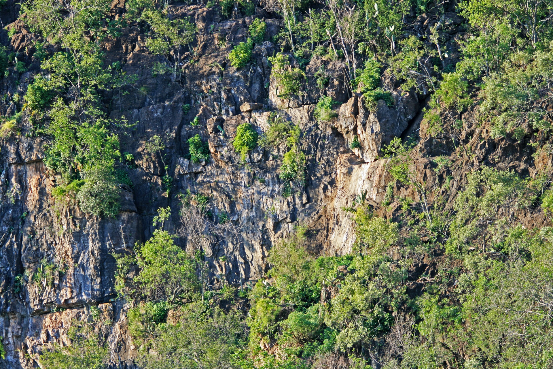 cliff rocks sheer free photo