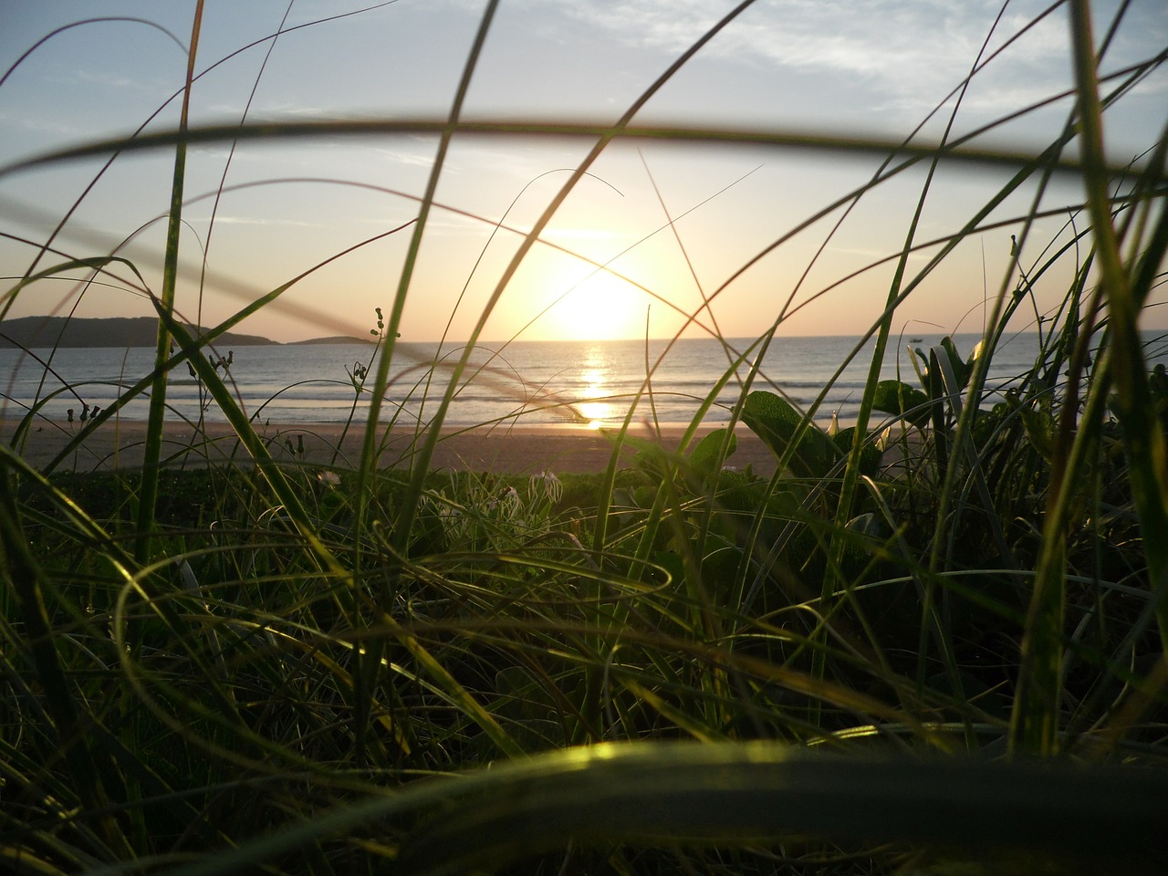vegetation on the beach beach of the hill sunrise free photo