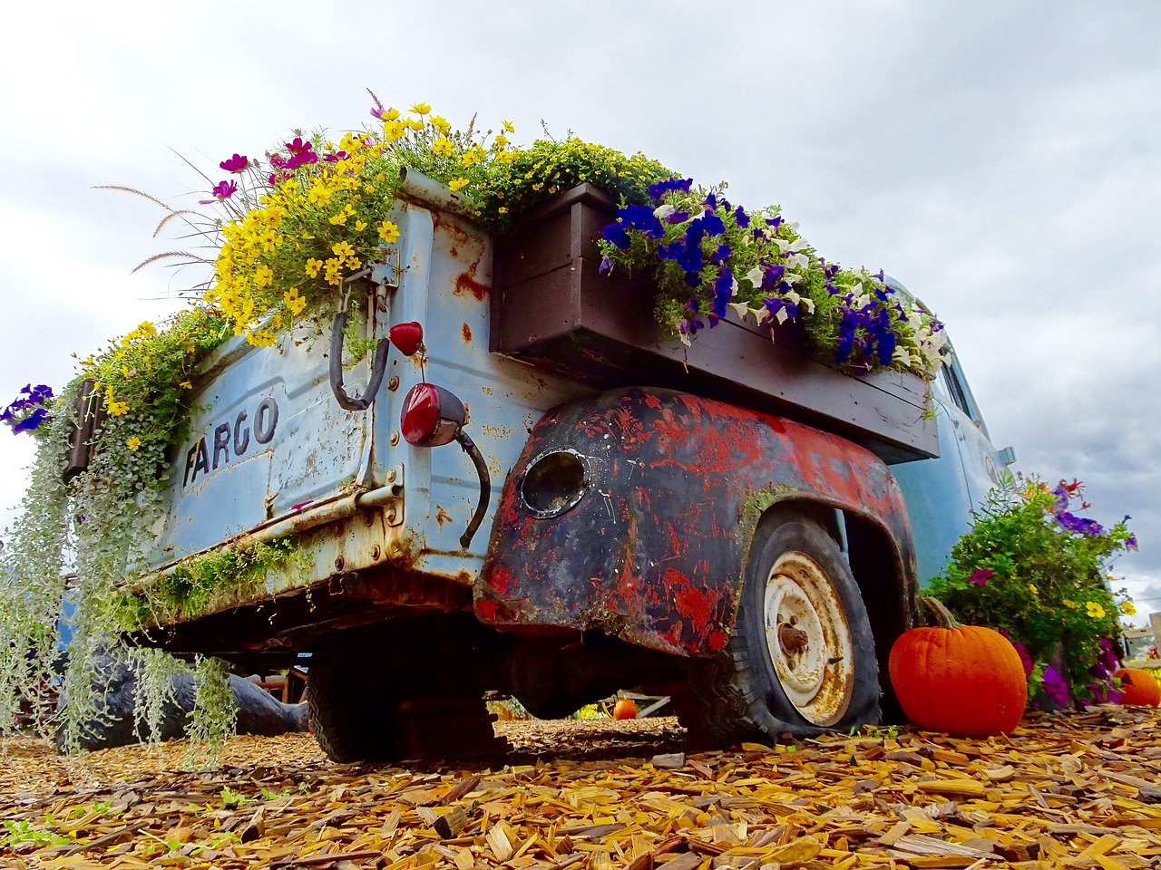 vehicle flowers display free photo