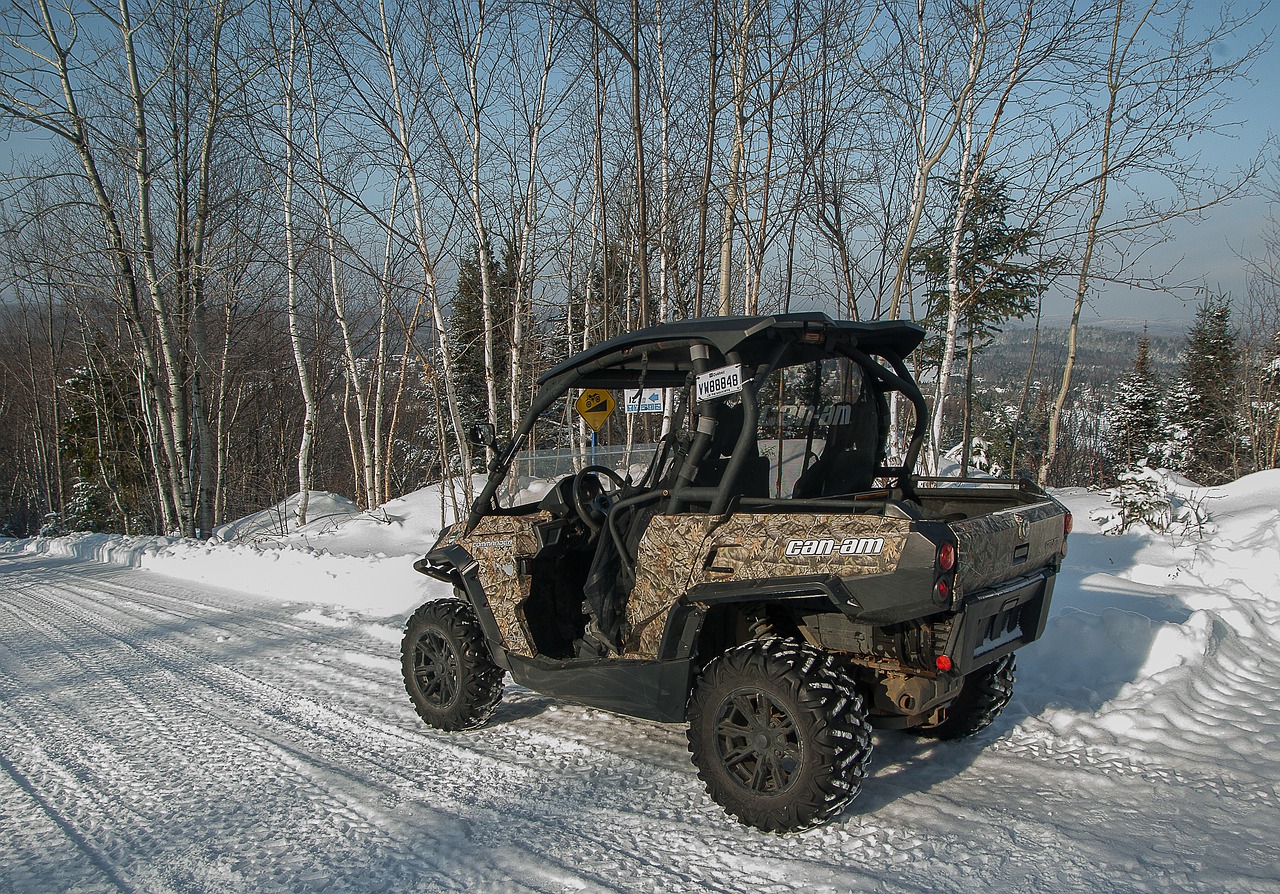vehicle track snow free photo