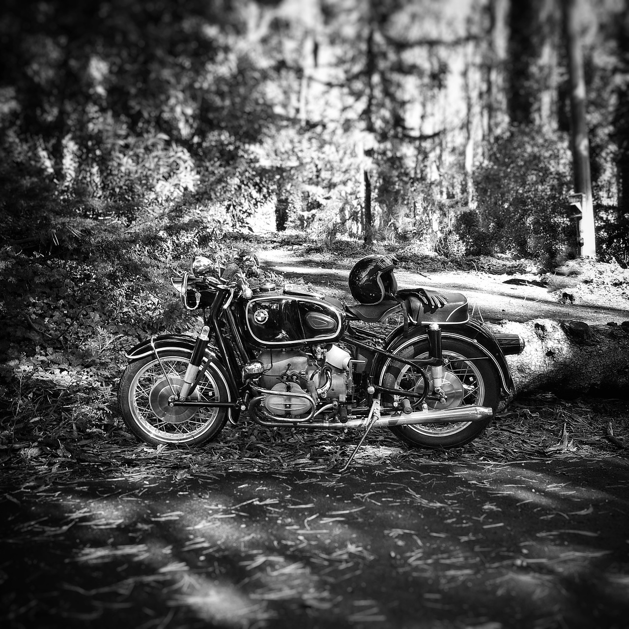 vehicle  motorcycle  bmw free photo