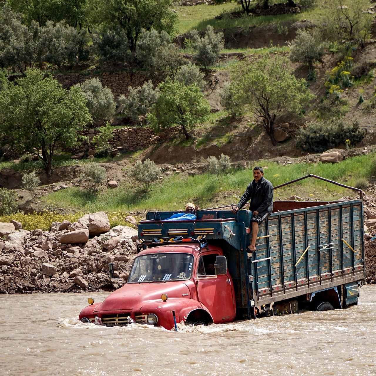 vehicle  transport  truck free photo