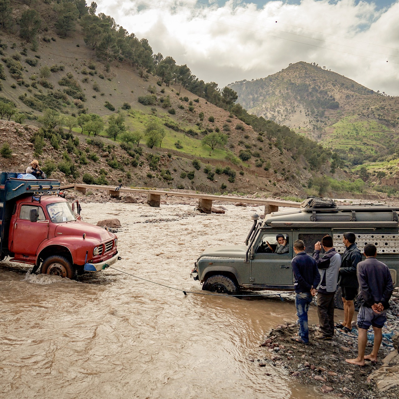 vehicle  road  transport free photo