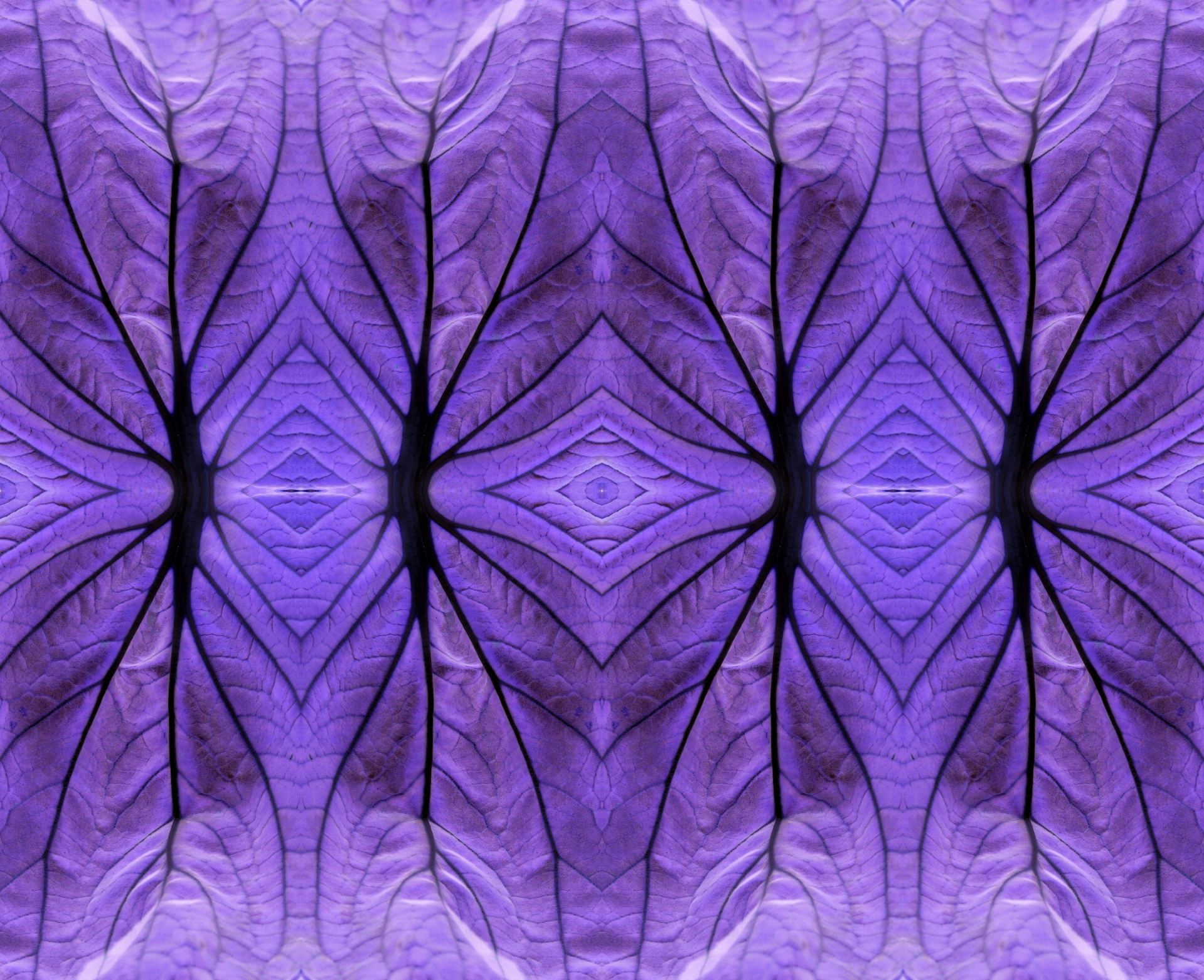 pattern mapping purple free photo