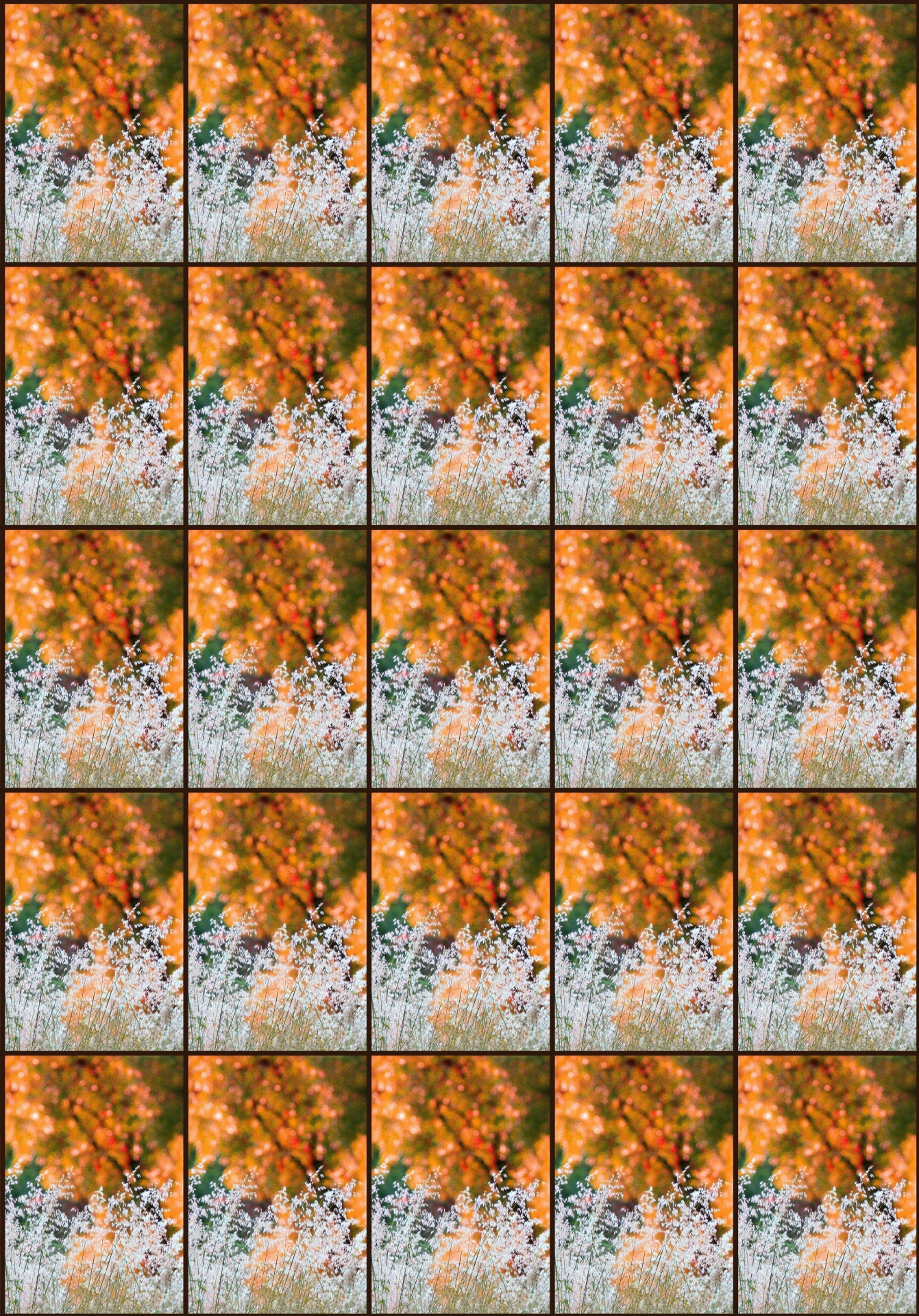 background wallpaper pattern free photo