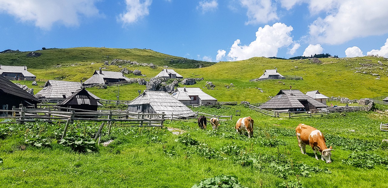 velika planina  slovenia  travel free photo