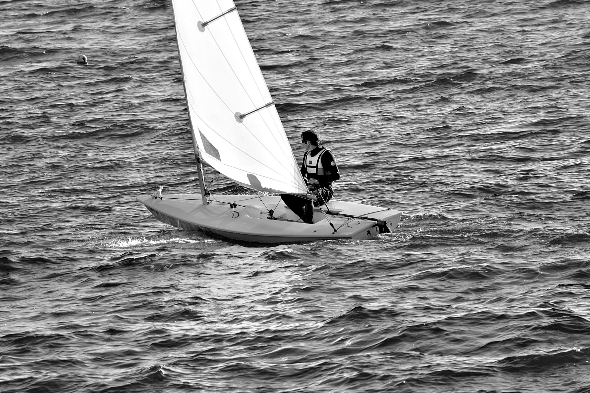 windsurfing windsurfer sport free photo