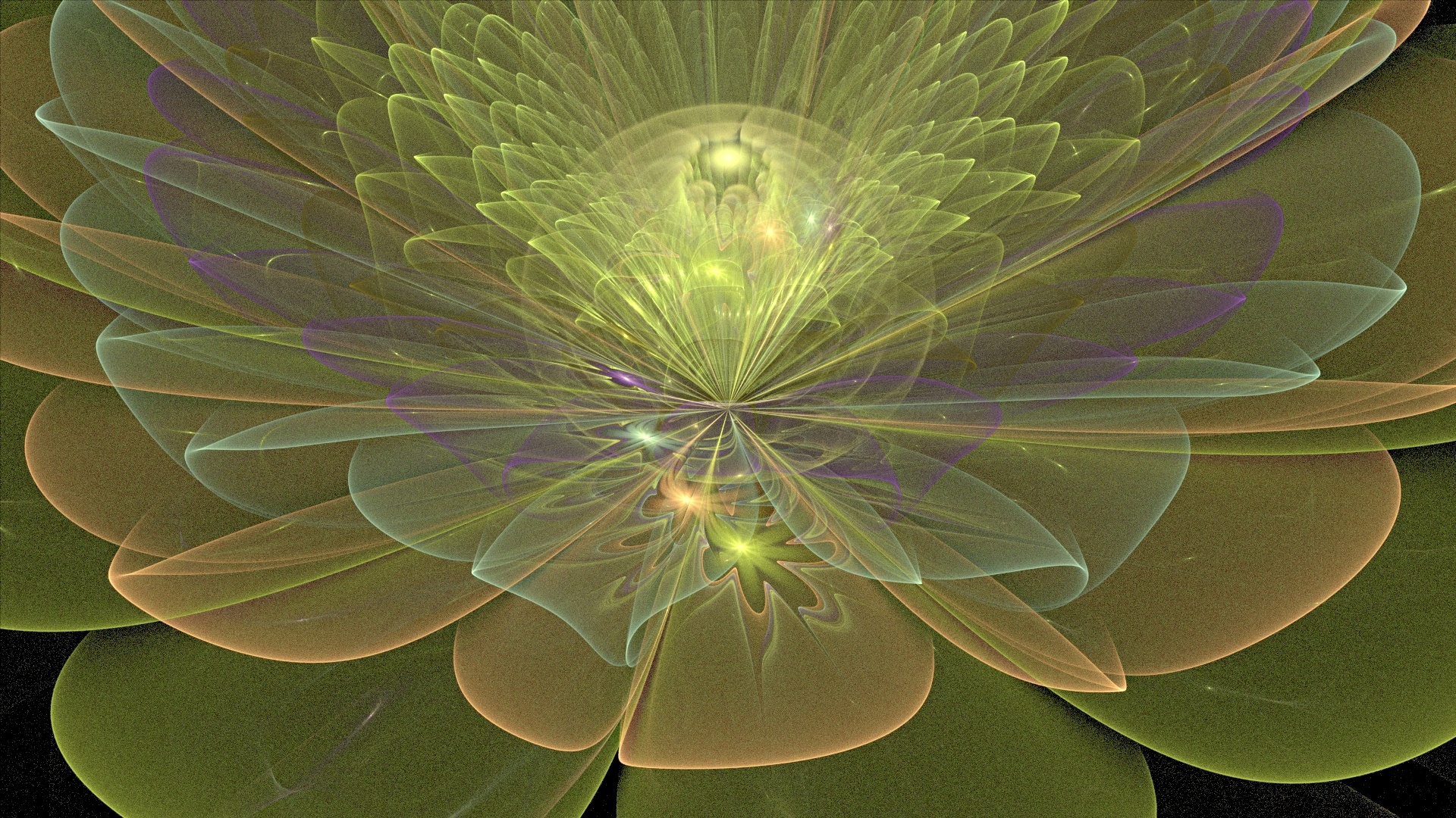 fractal flowers velon free photo