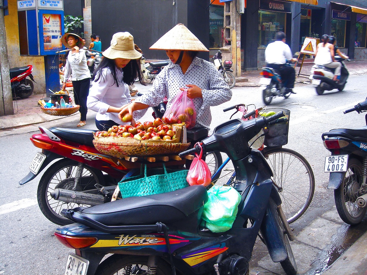 vendor fruits women free photo