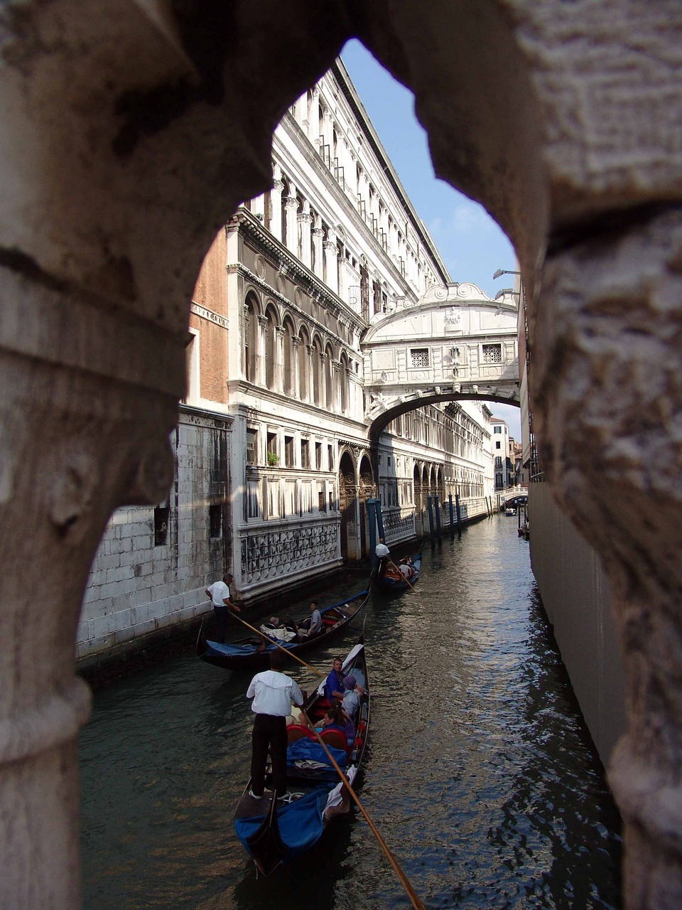 venice bridge canale grande free photo