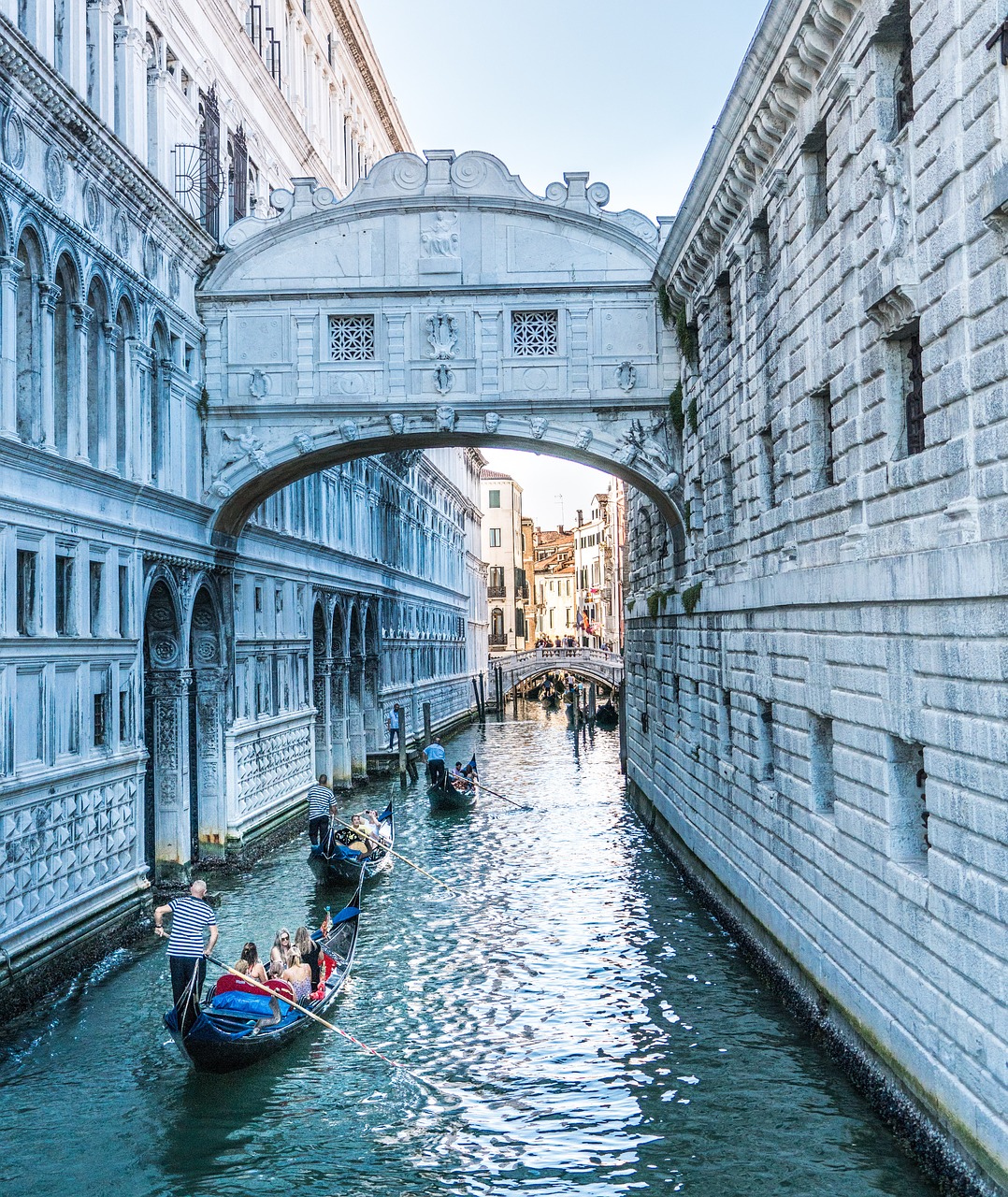 venice italy gondola free photo