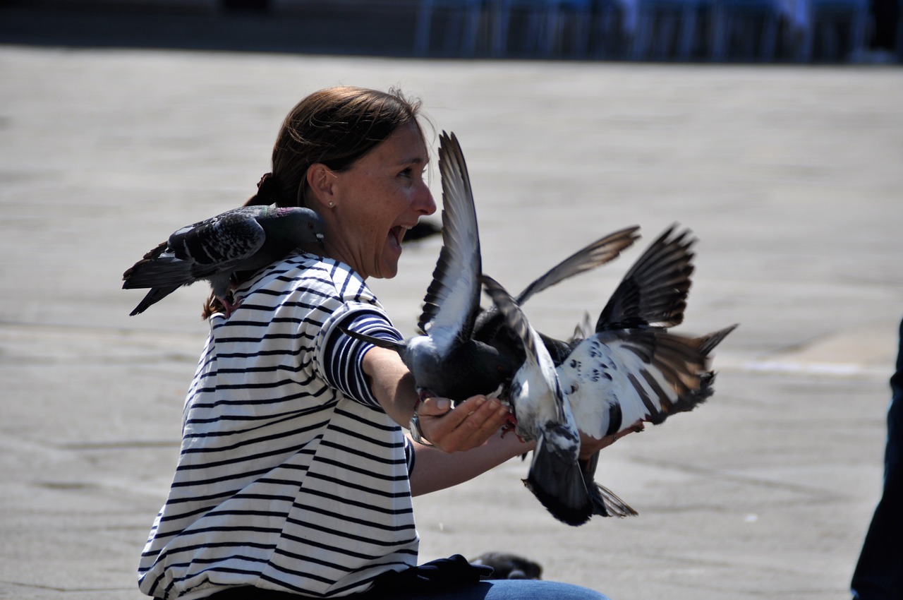 venice st mark's square italy free photo