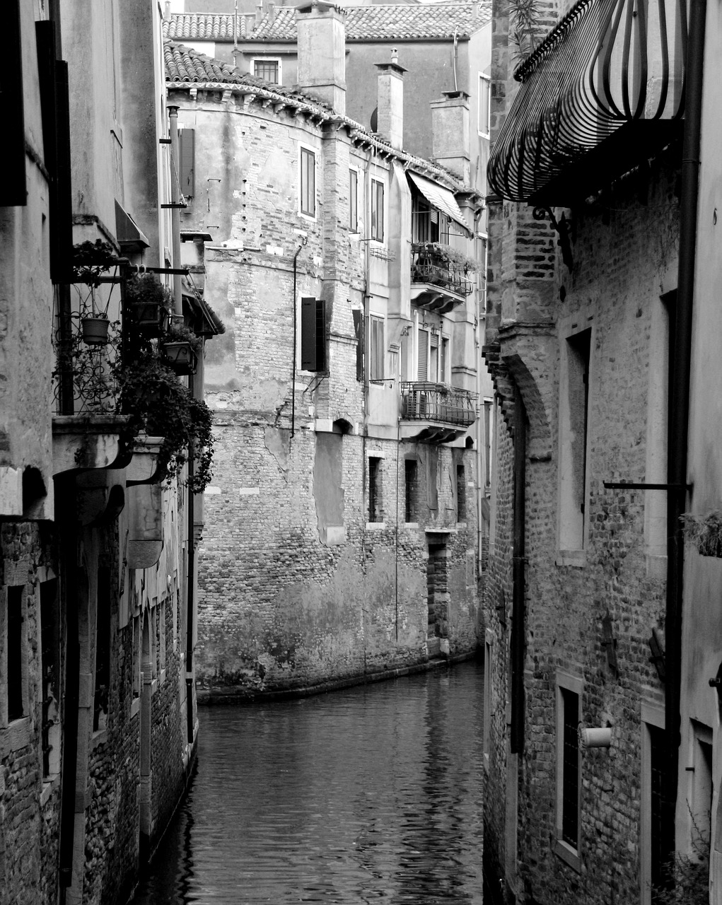 venice black white channel free photo