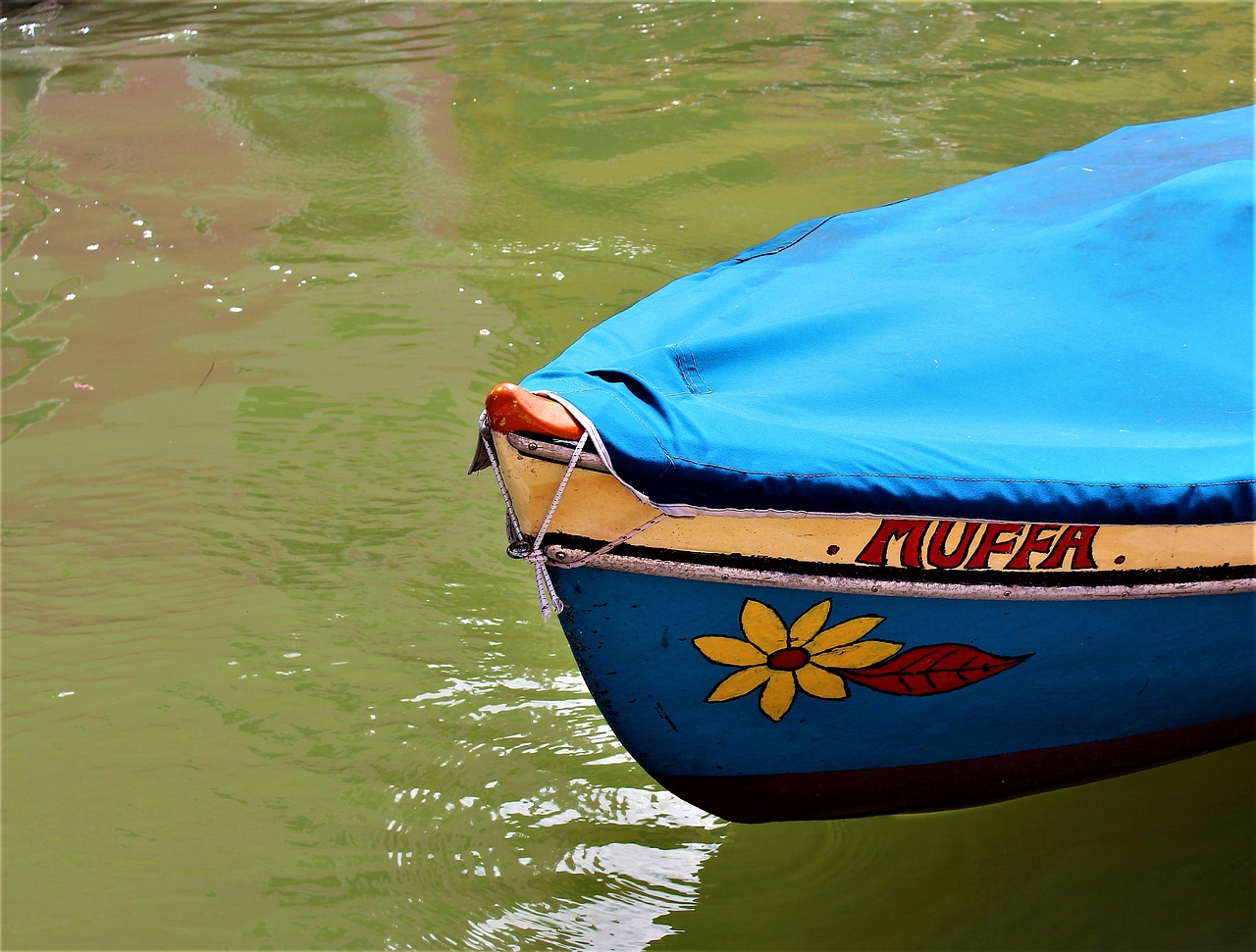 venice italy burano free photo