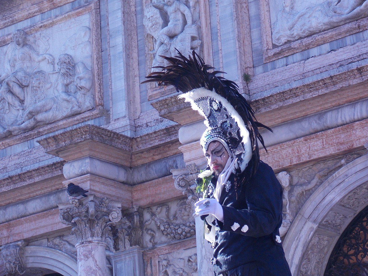 venice  carnival free pictures free photo