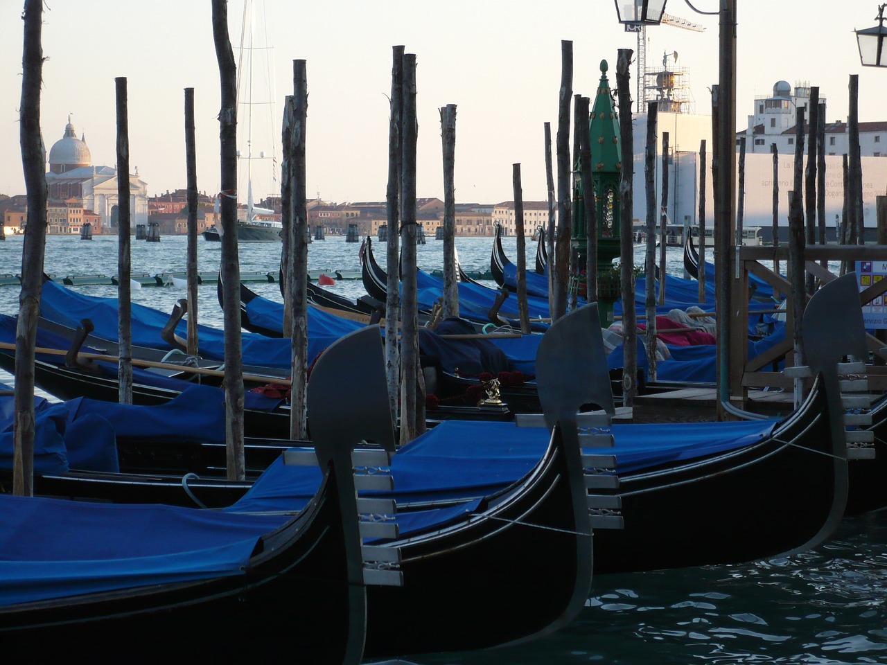 venice  gondolas  italy free photo