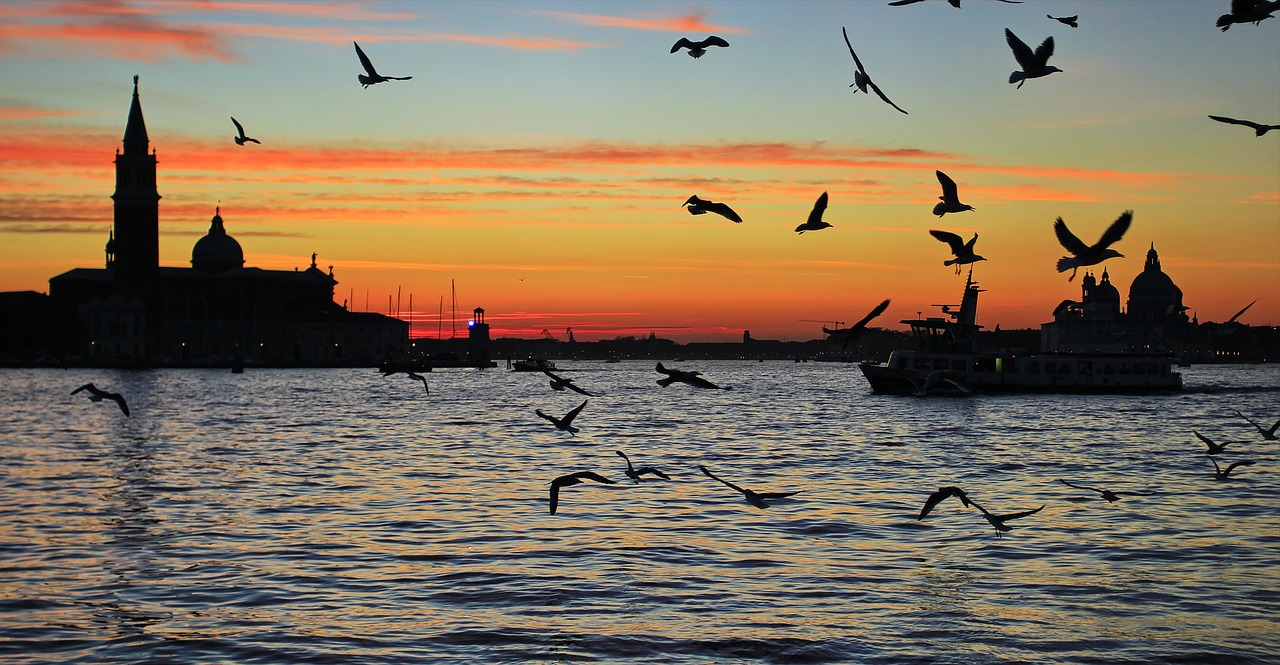 venice  sunset  water free photo