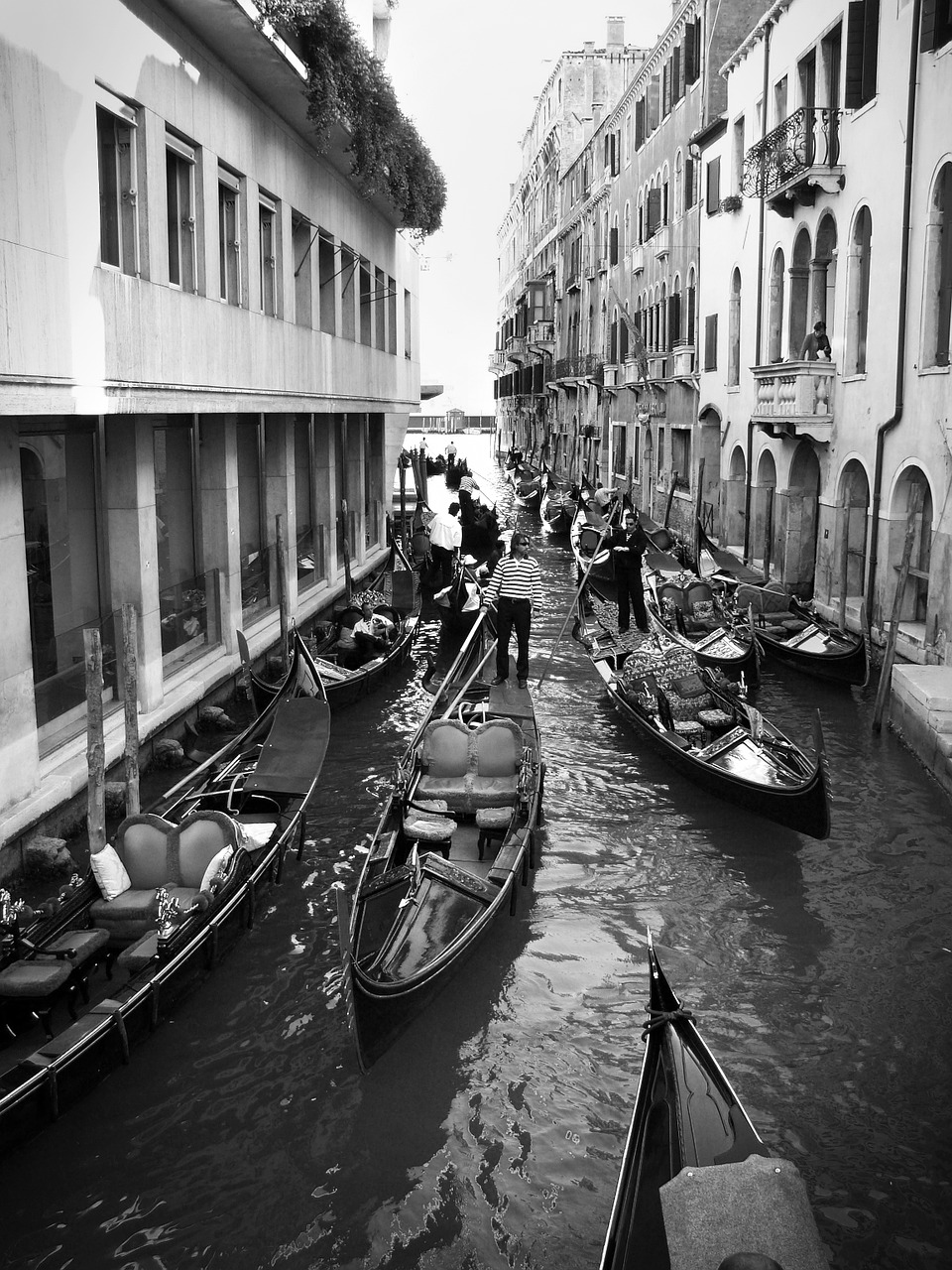 venice gondolas italy free photo