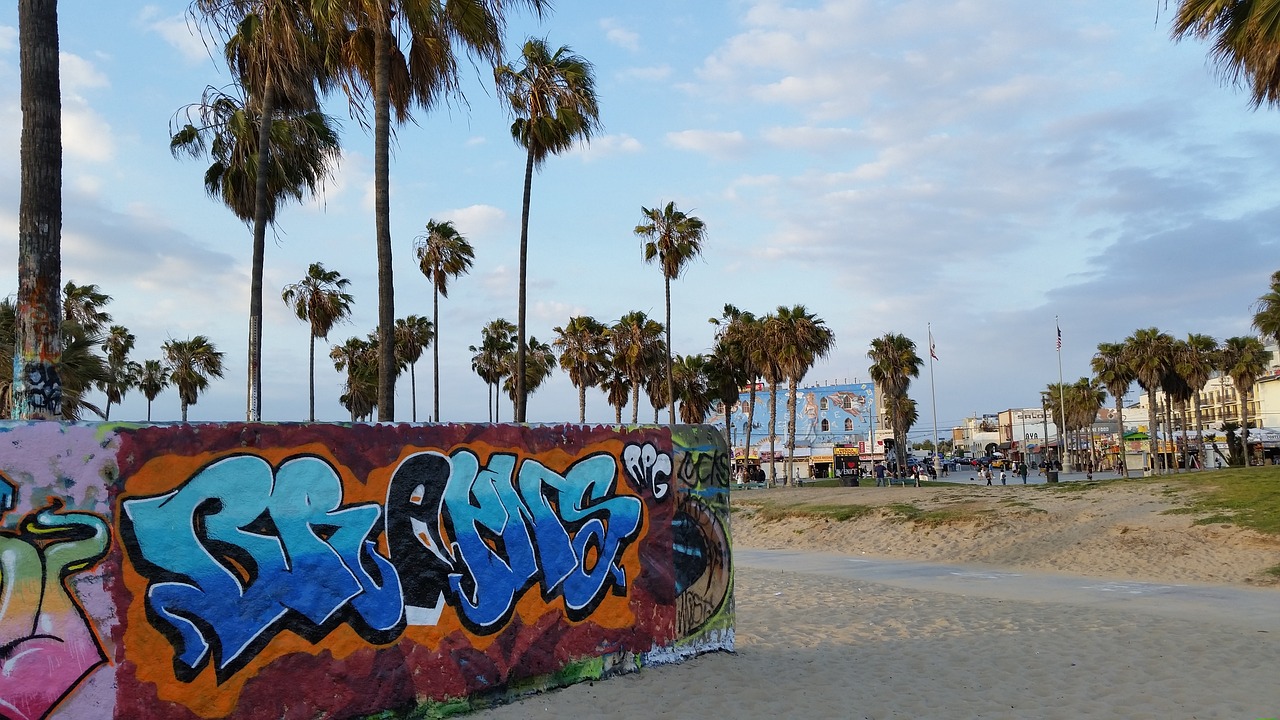venice beach beach graffiti free photo