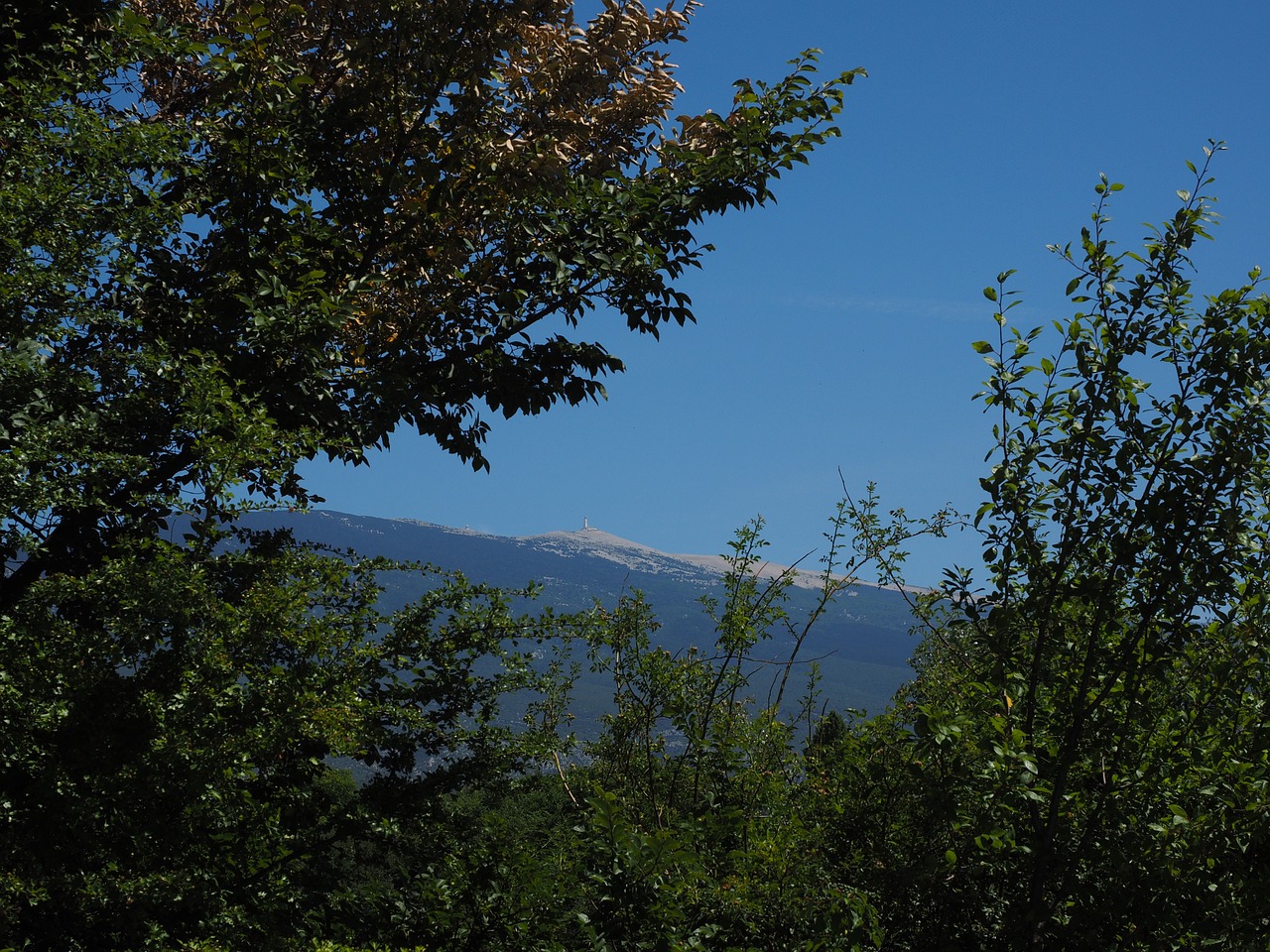 ventoux mountain provence free photo