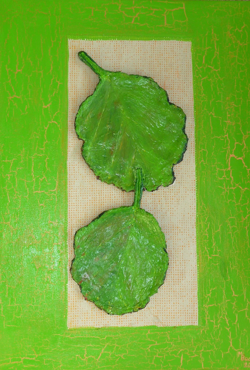 verbana leaves green free photo